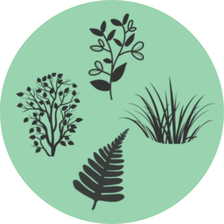All plant species icon