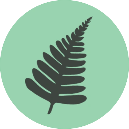 fern plant icon