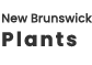 newbrunswick plants logo