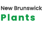 new brunswick plants logo