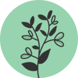 nonwoody plant icon